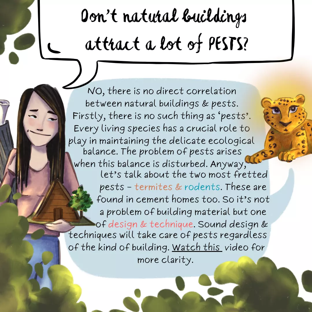 What about pests? Don’t natural buildings attract a lot of pests? No, there is no direct correlation between natural buildings and pests. First of all, there is no such thing as ‘pests’. Every living species has a crucial role to play in maintaining the delicate ecological balance. The problem of pests arises when that balance is disturbed. Anyway, let’s talk about the two most fretted pests – termites and rodents. We see termites and rodents in cement homes too. So it’s not a problem of building material but one of design and technique. A sound design, combined with appropriate techniques applied in the foundation and preparation of materials such as wood at the time of construction can take care of pests regardless of the material you’re building with. Hence the panic linked to mud homes attracting pests is not justified.