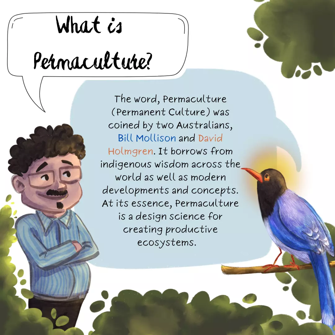 What is Permaculture? The word, Permaculture (Permanent Culture) was coined by two Australians, Bill Mollison and David Holmgren. It borrows from indigenous wisdom across the world as well as modern developments and concepts. At its essence, Permaculture is a design science for creating productive ecosystems.